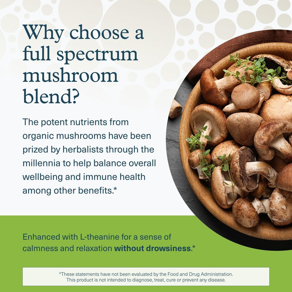 Image of the organic mushroom blend: reishi, chaga, maitake, lion's mane, cordyceps