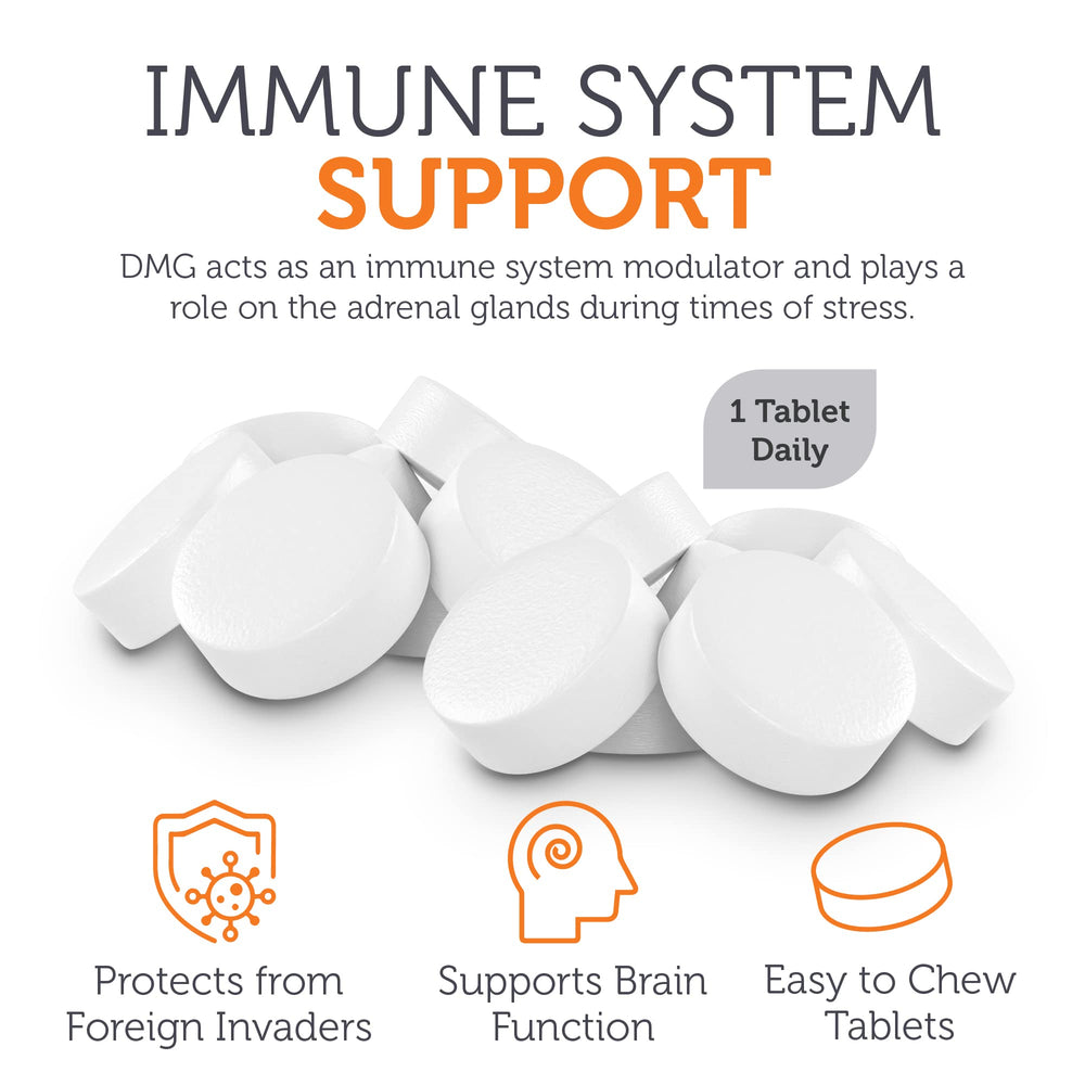 Zahler DMG 500mg ingredient list