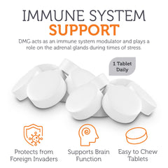 Zahler DMG 500mg ingredient list