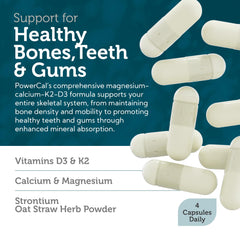 Graphic illustrating Zahler PowerCal bone health support