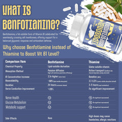Back view of Zaigon Benfotiamine liposomal bottle with supplement facts