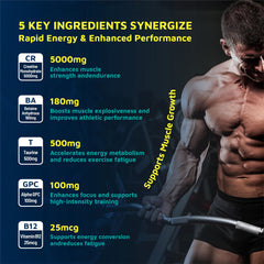 Vegan-friendly, sugar-free Zealtonic Creatine Gummies packaging