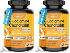 Front view of ZEBORA Glucosamine Chondroitin Pack 2 120 capsules