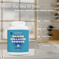 Amino acid profile visualization for Zen Principle collagen peptides.