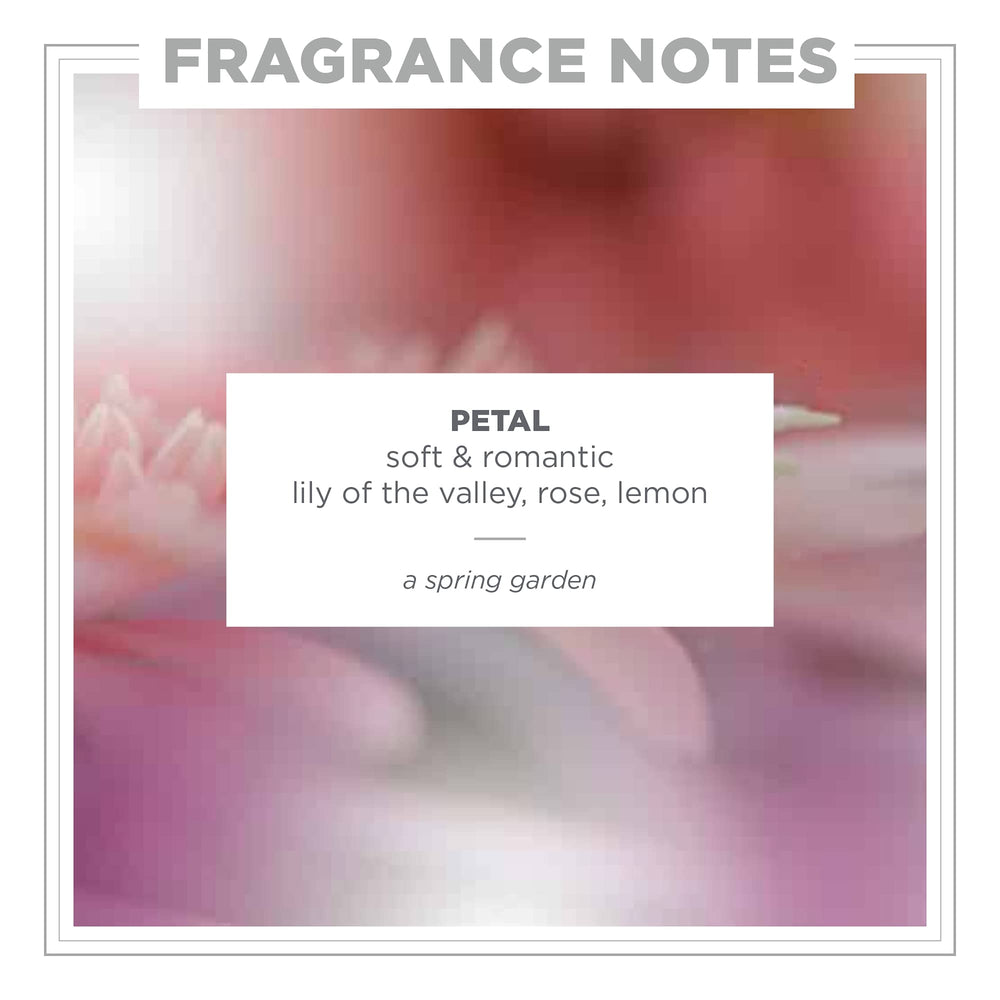 Zents Attar packaging in travel case, airline-friendly.