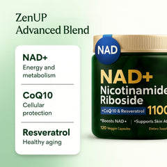 ZenUP NAD+ Supplement capsules arranged for daily wellness