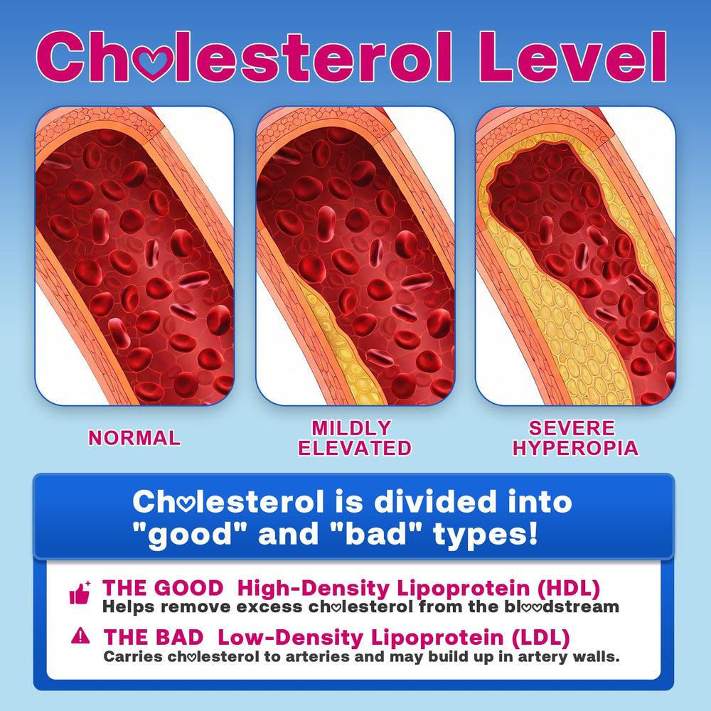 Heart-health illustration showing balanced cholesterol and circulation