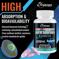 Graphic showing dual-source creatine with micronized creatine monohydrate and creatine HCL
