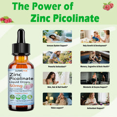 Icons representing immune health, skin health, eye health and enzyme support