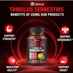 Concept image representing energy support and vitality