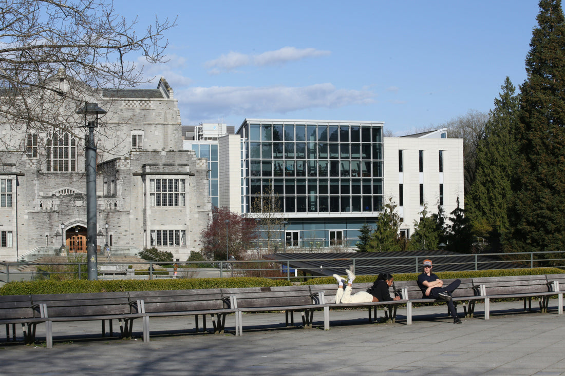 Vitamins That Support British Students during stressful UK exam season.