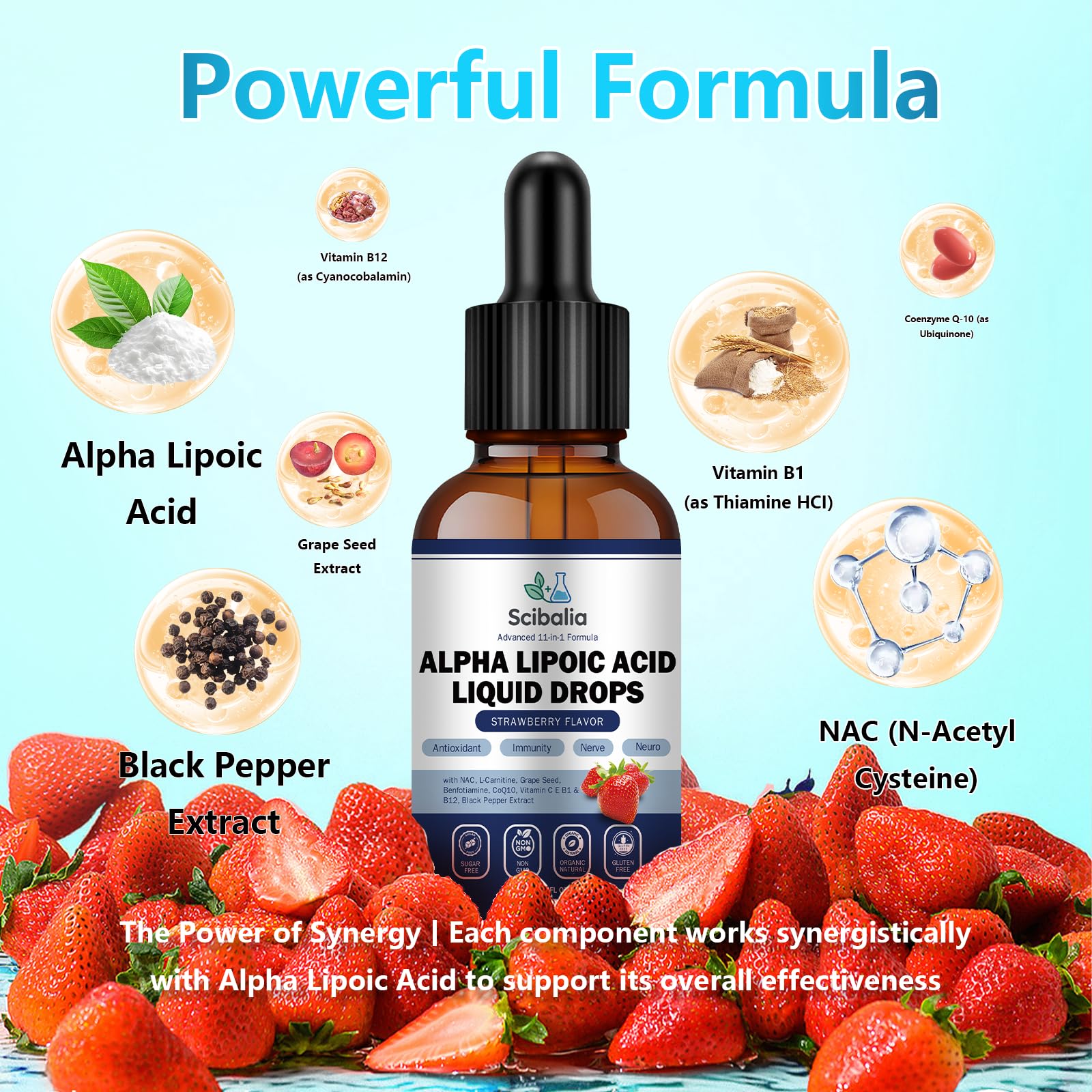 11-in-1 formula with acetyl-L-carnitine and benfotiamine