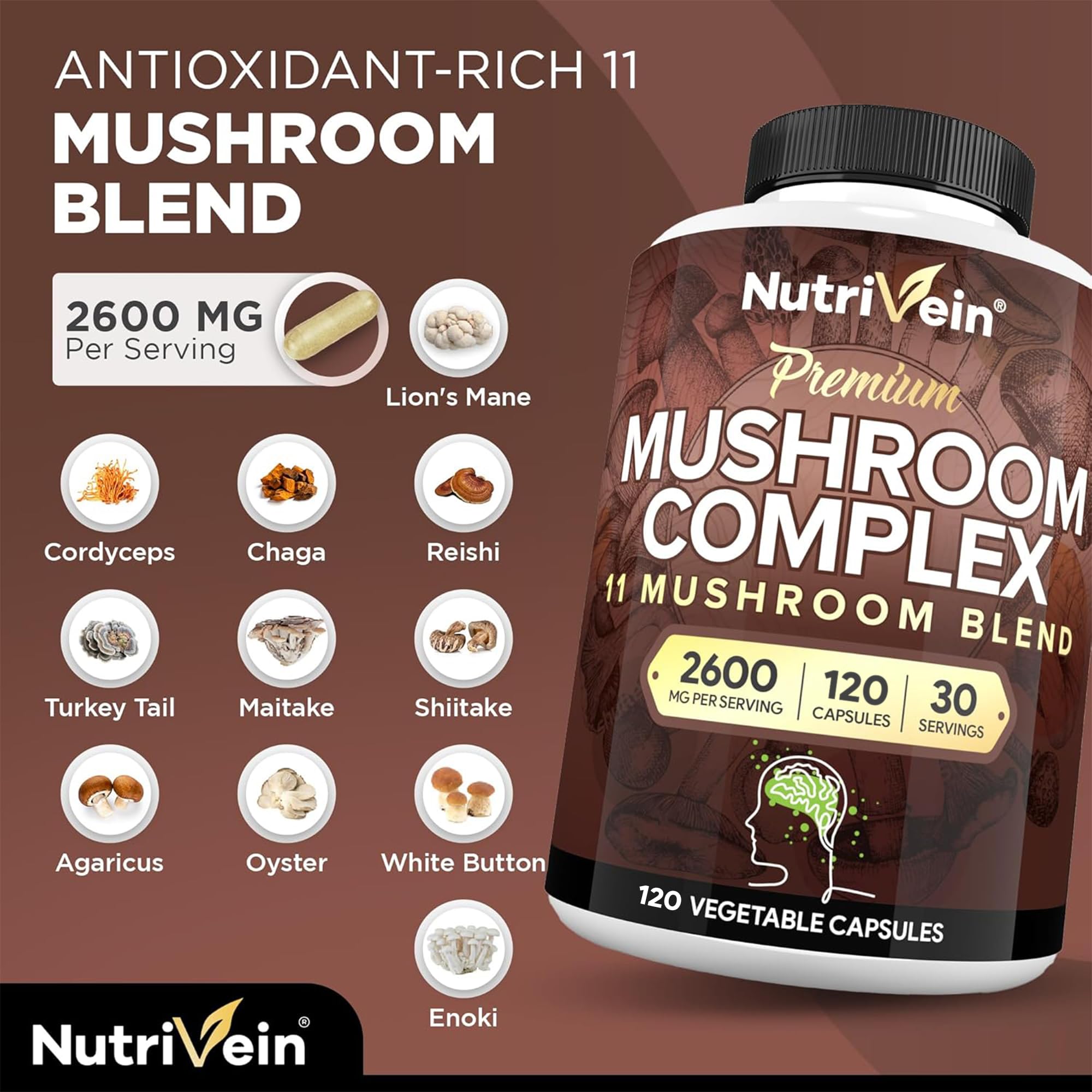 Chart of the 11-mushroom blend ingredients