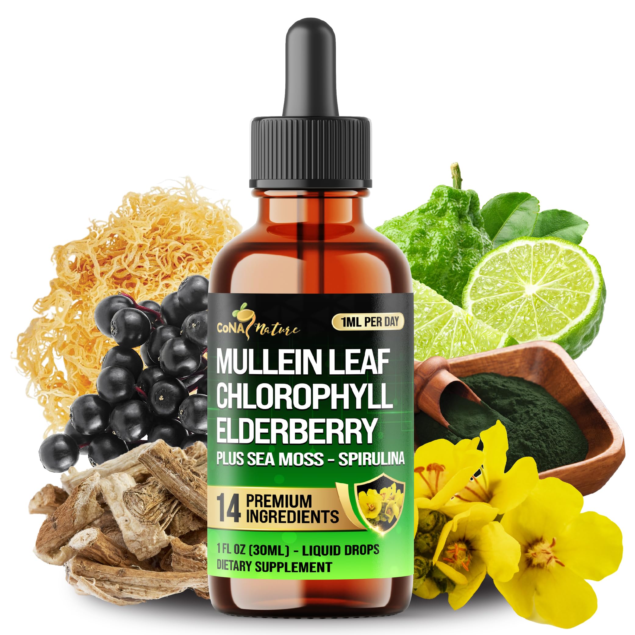 Bottle of 14in1 Mullein Liquid Drops 1 oz