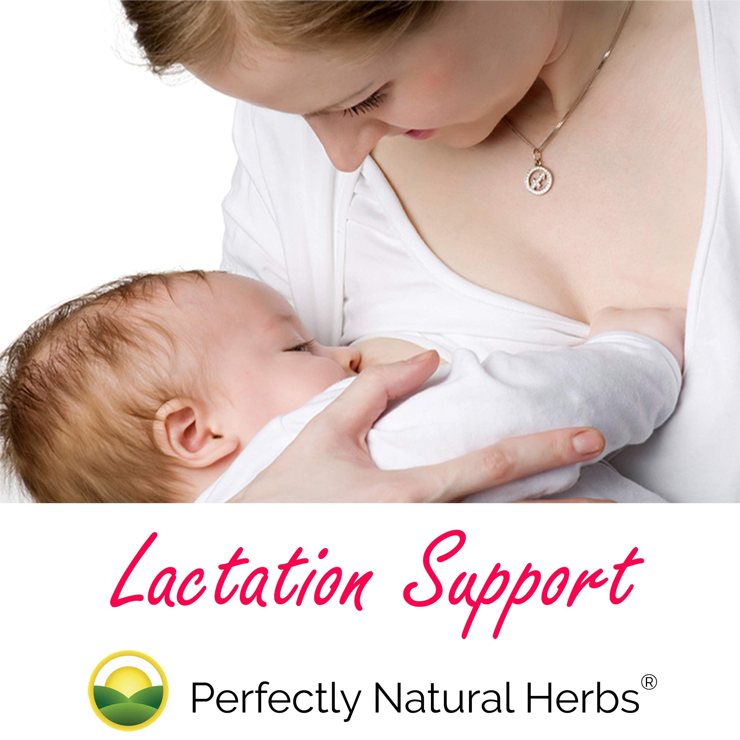 Close-up of supplement ingredients and Moringa Leaf Powder