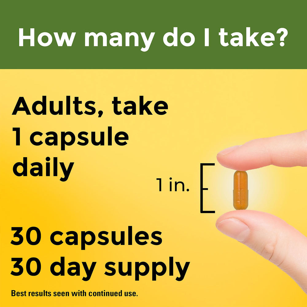 Graphic showing 1575 mg equivalent curcuminoids