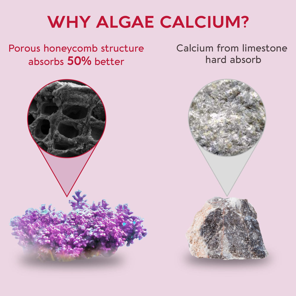 Immunity and energy support visuals on bottle