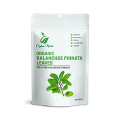 Natural air-dried Kalanchoe Pinnata leaves