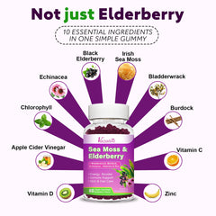 Elderberry gummies packaging and bottle close-up