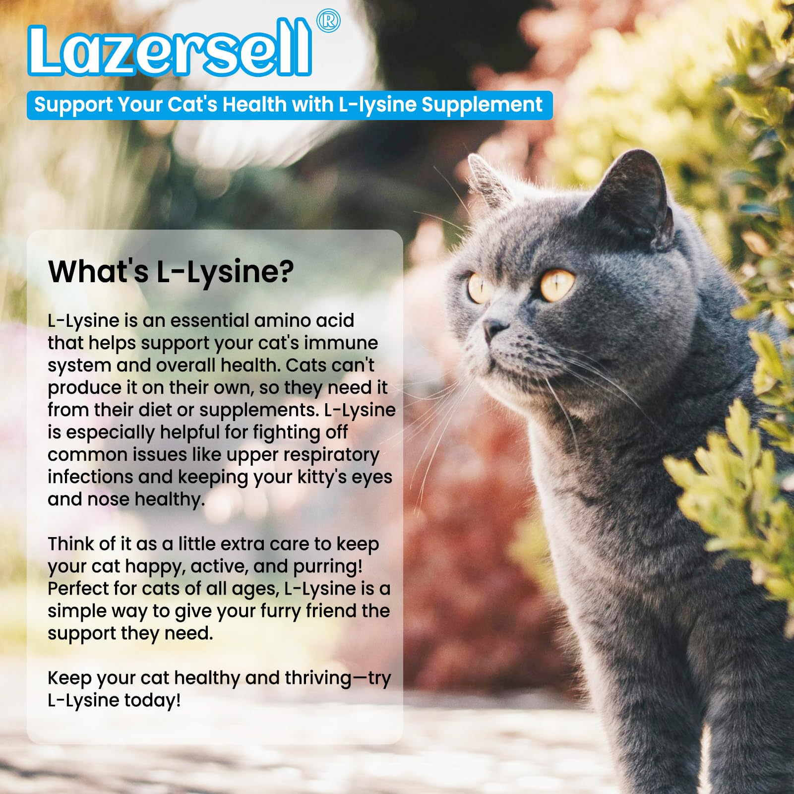 Liquid dropper dispensing L-Lysine into cat food or water