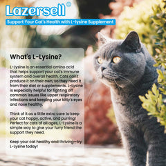 Liquid dropper dispensing L-Lysine into cat food or water