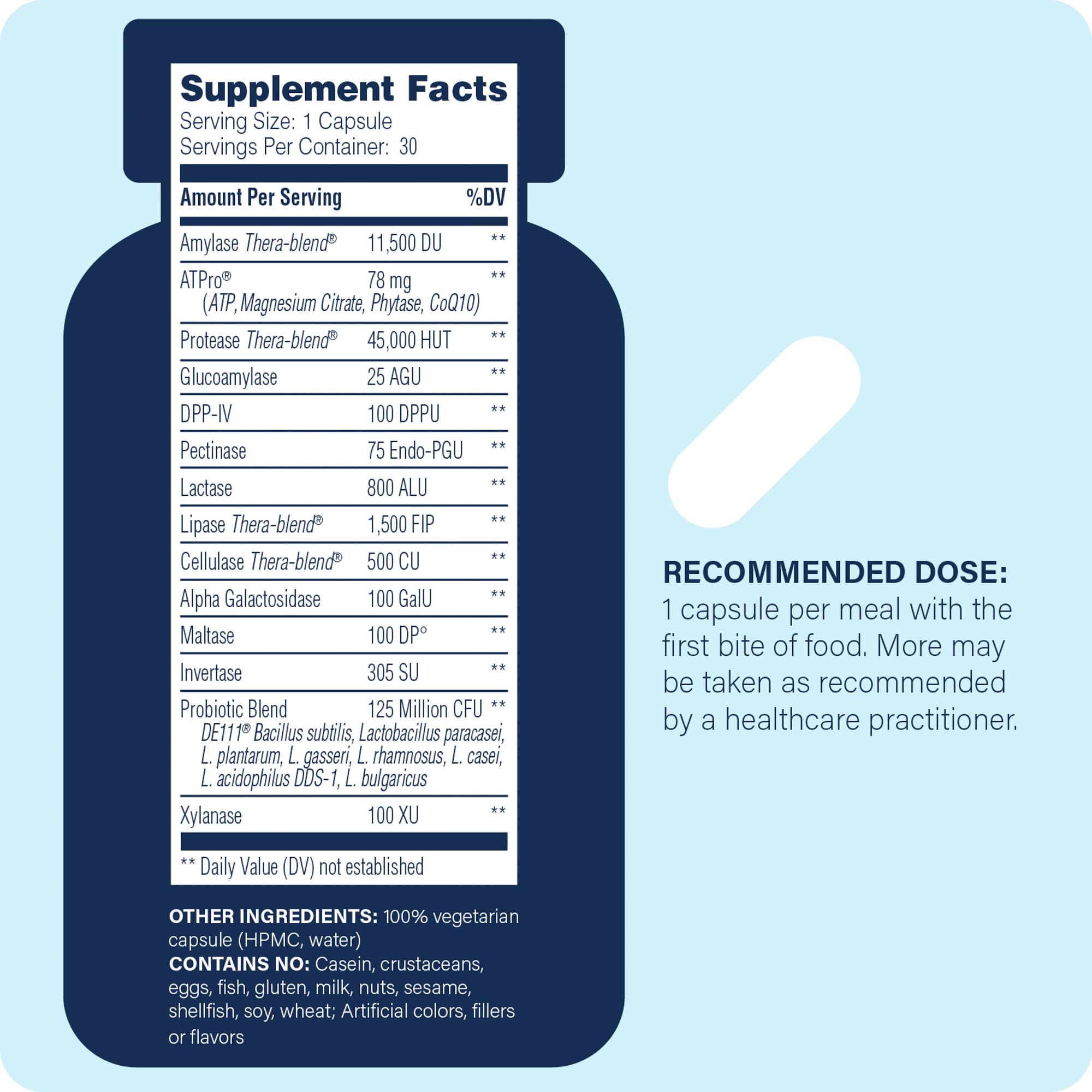 Graphic showing 3-in-1 gut health support with enzymes, probiotics, and energy.