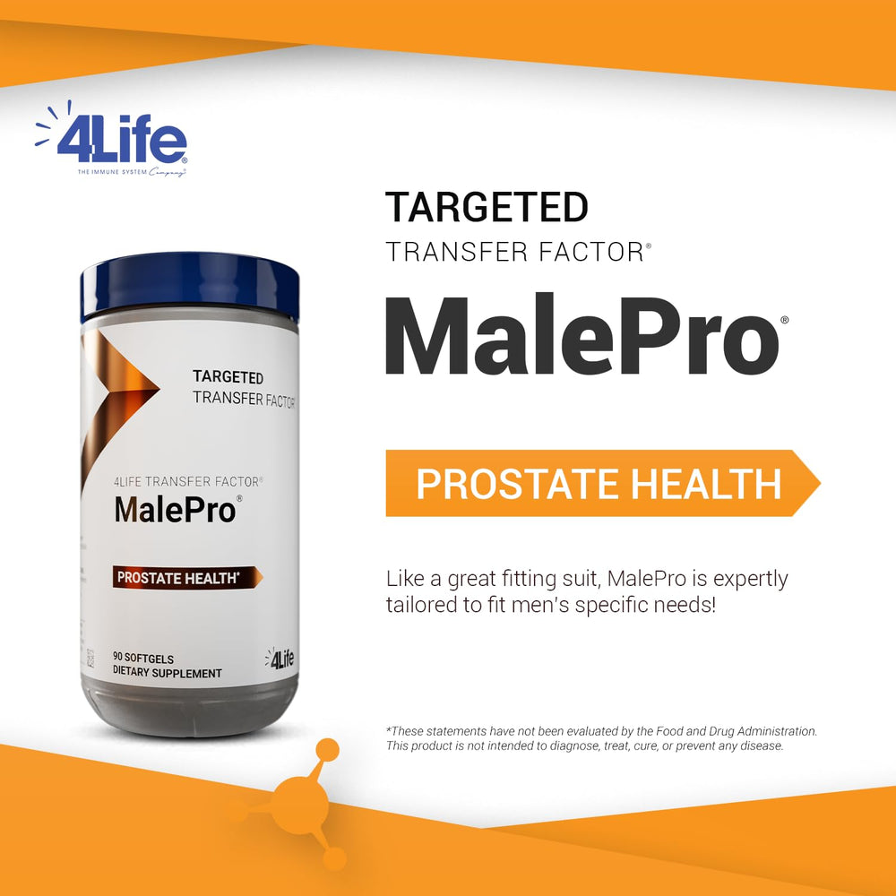 Illustration showing prostate health benefit with MalePro