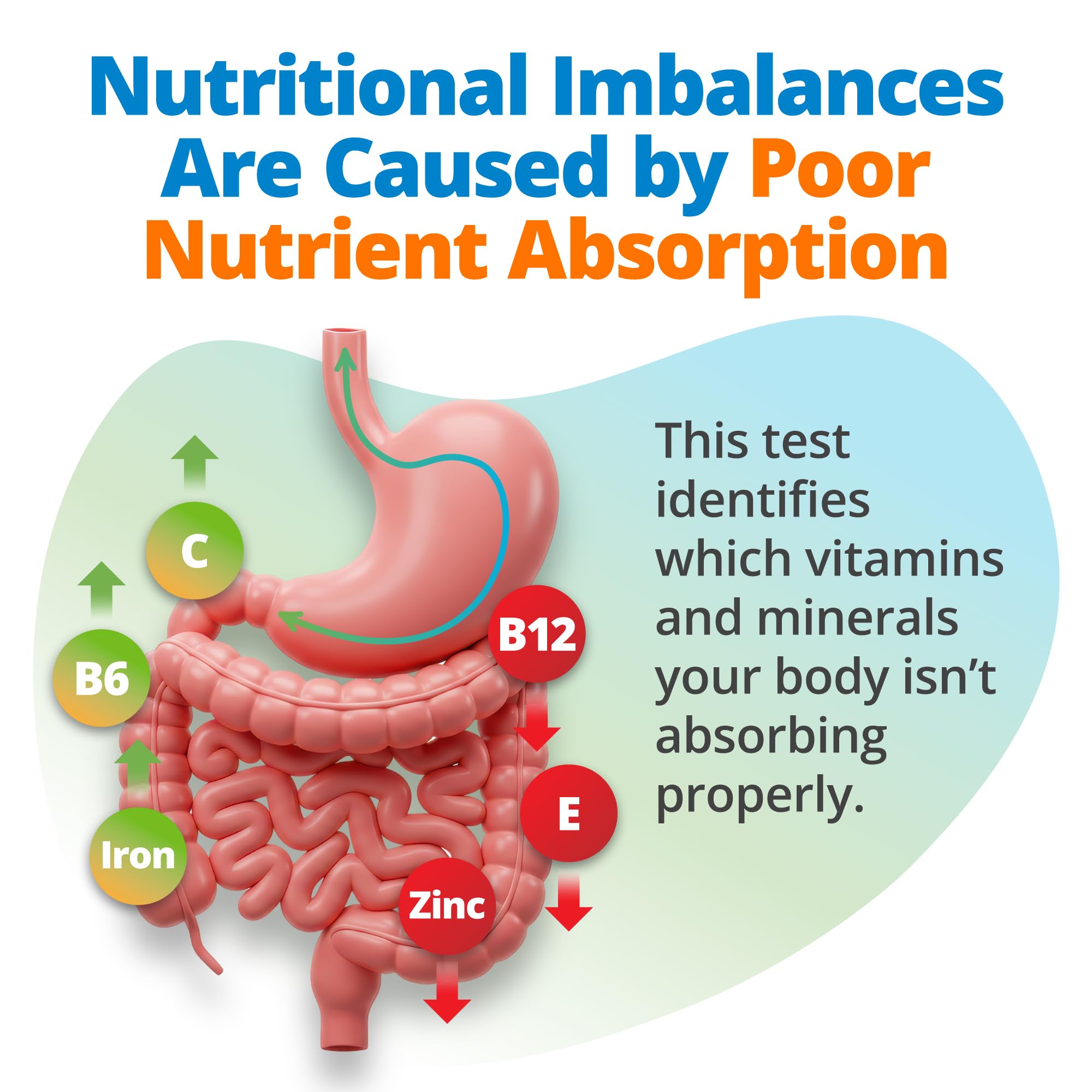 Results dashboard for 5Strands Nutrition Test