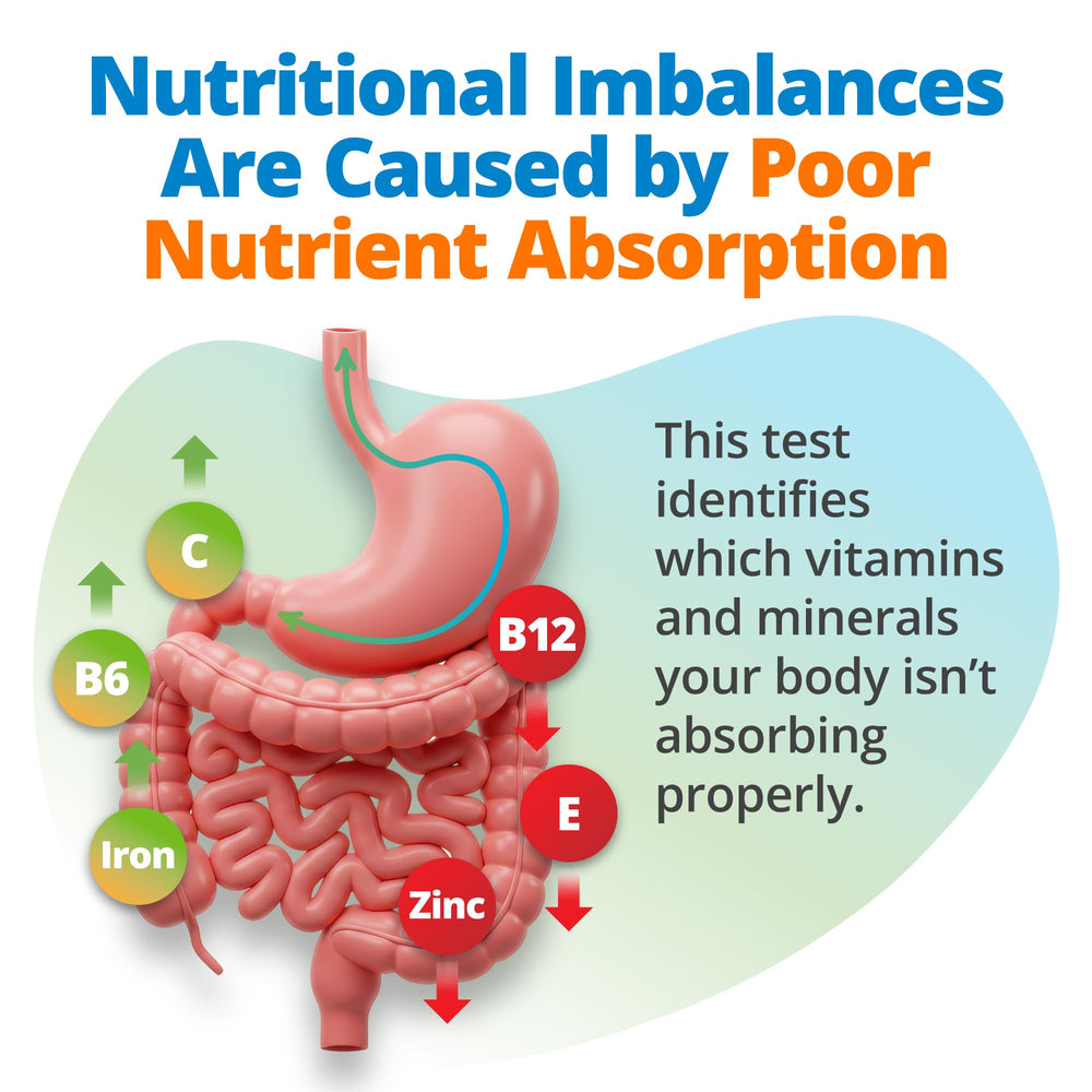 Results dashboard for 5Strands Nutrition Test