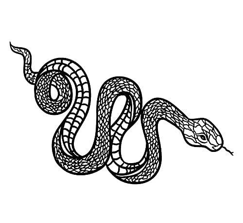 5X2Y Tattoo Tech snake color fully emerges after 24 hours