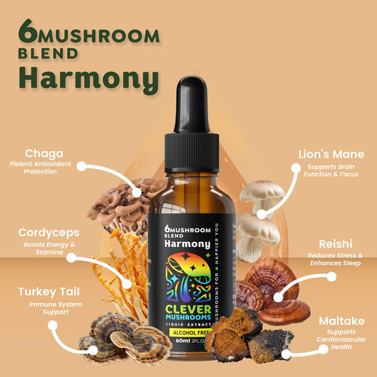 Front and back view of 6 Blend Mushroom Liquid Extract bottles