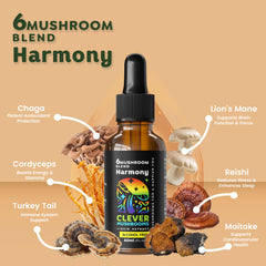 Front and back view of 6 Blend Mushroom Liquid Extract bottles