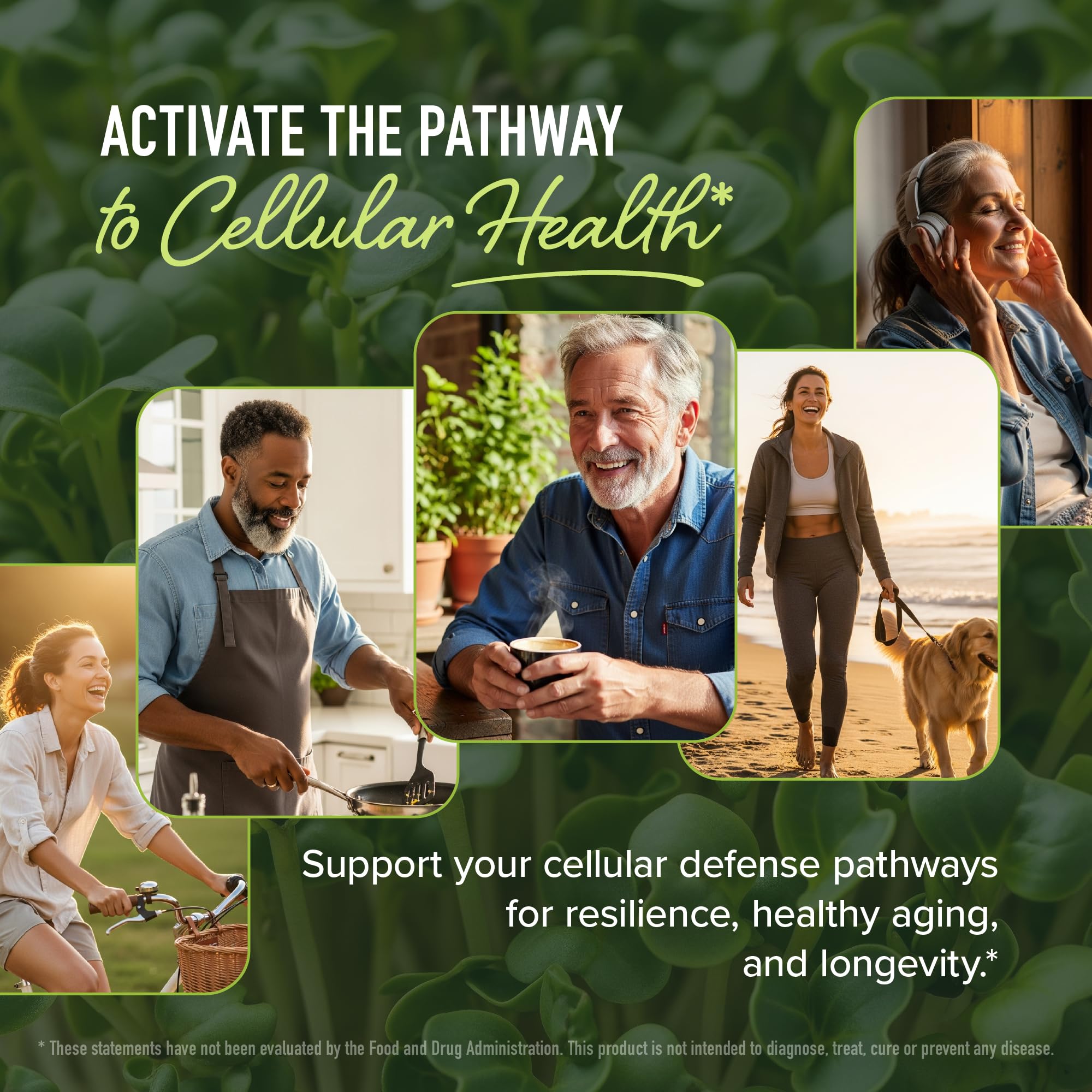 60 broccoli seed microbeadlets pack