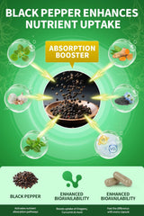 60 vegetarian capsules per bottle (4-month supply)