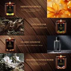 Vintage Oak scented candle in 8-pack set