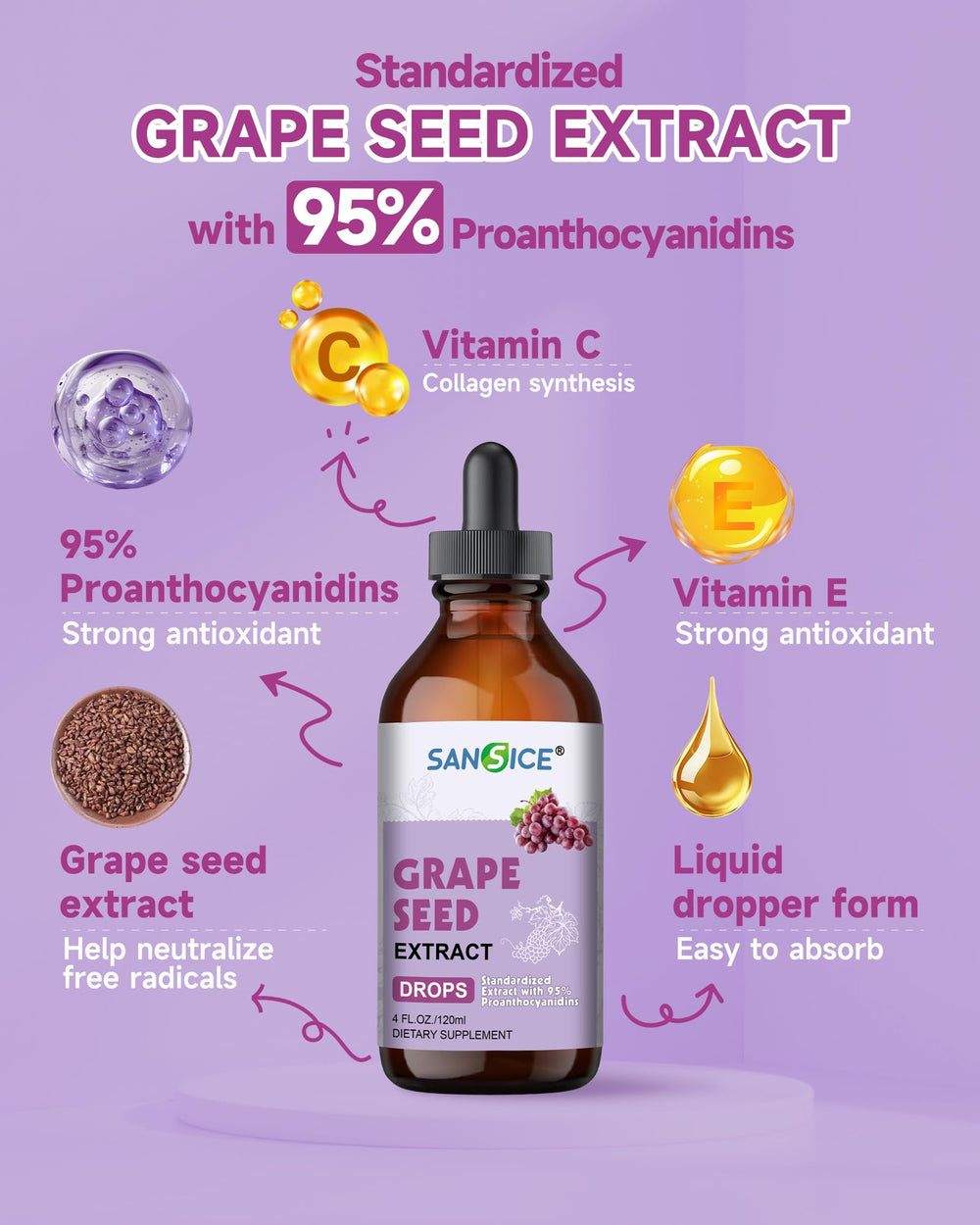 Illustration highlighting 95 percent proanthocyanidins