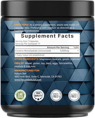 Micronized creatine capsules designed for high absorption