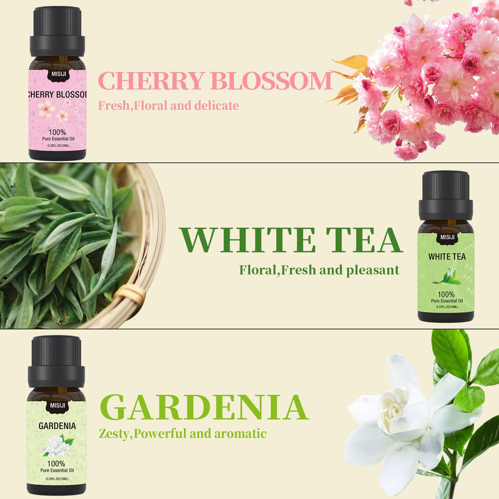 International perfumery team collaborating on essential oil formulas
