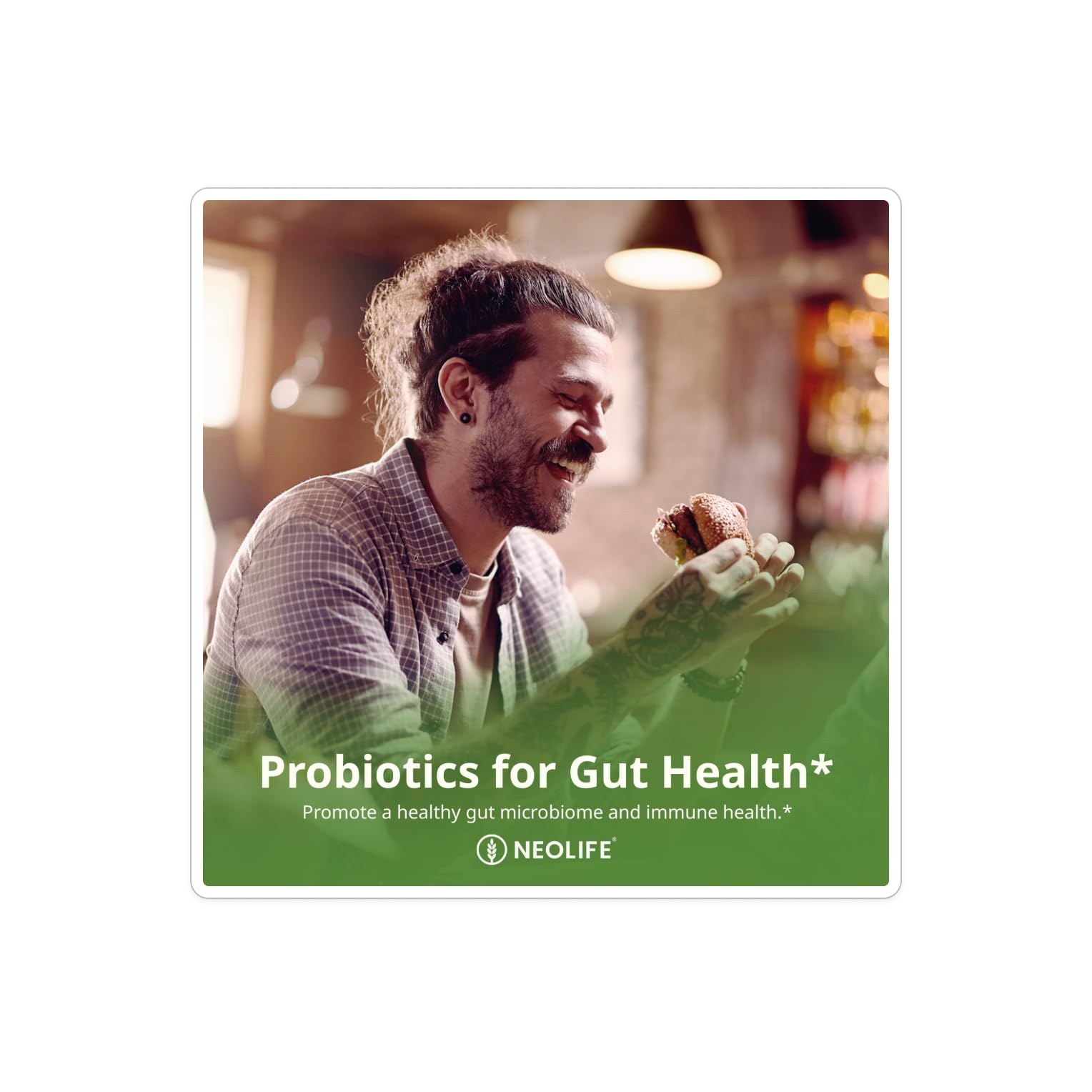 Five probiotic strains: Lactobacillus acidophilus, L. delbrueckii bulgaricus, L. paracasei, Bifidobacterium animalis lactis, Streptococcus salivarius thermophilus