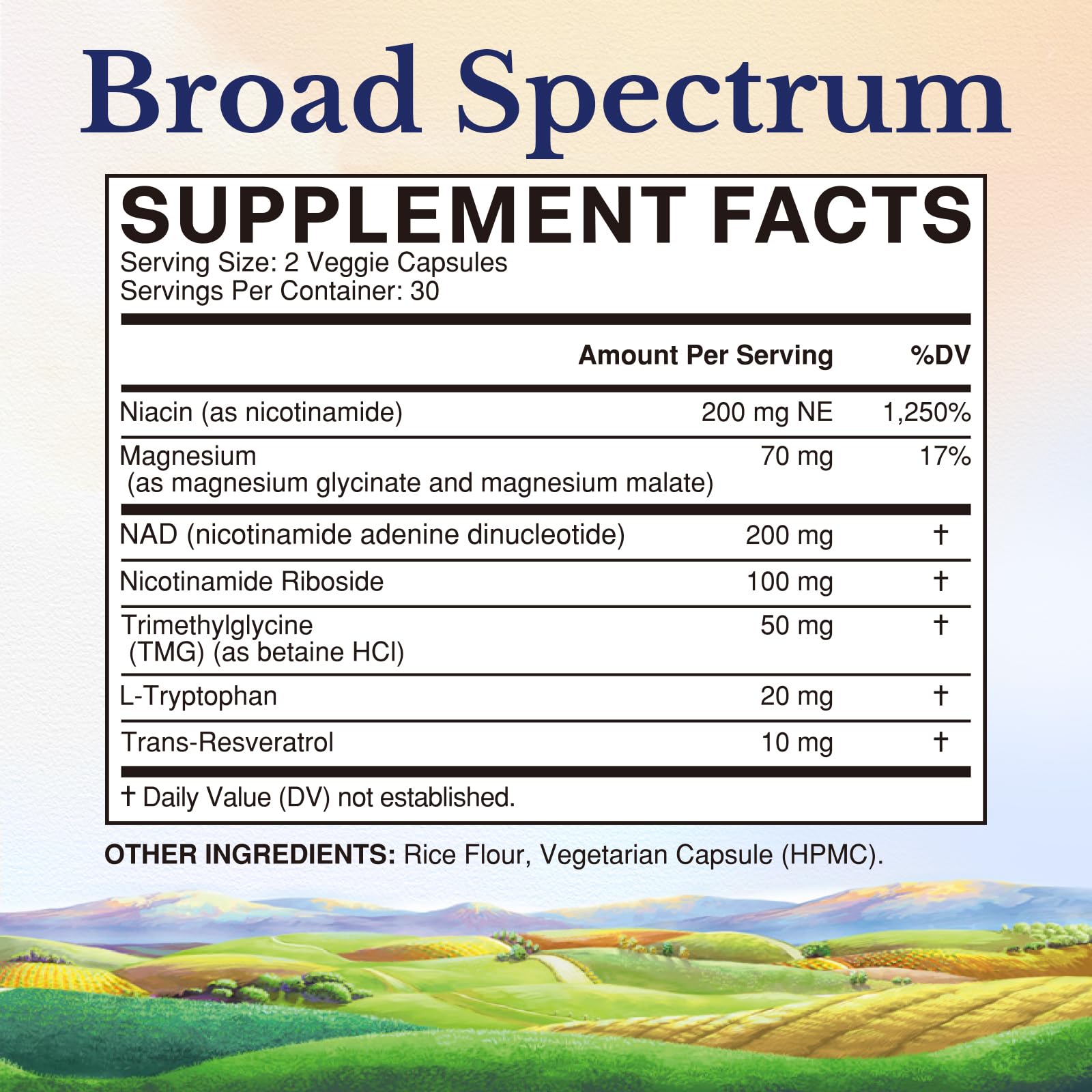Close-up of NR and Niacin ingredients representing NAD precursors