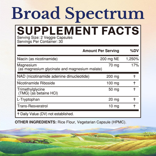 Close-up of NR and Niacin ingredients representing NAD precursors