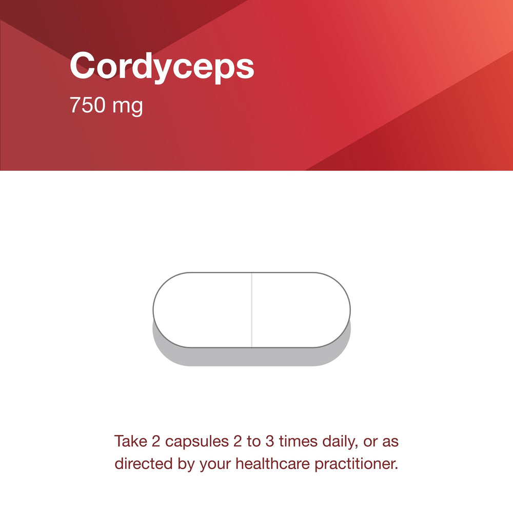 A-rated GMP manufacturer Cordyceps supplement