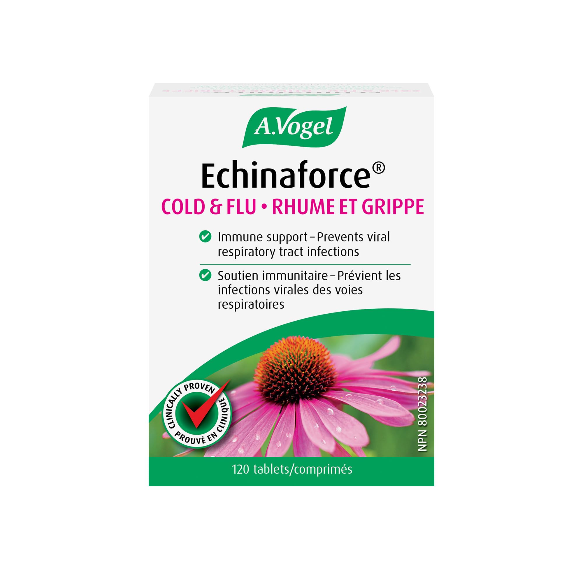 Product front view of A Vogel Echinaforce 120 CT