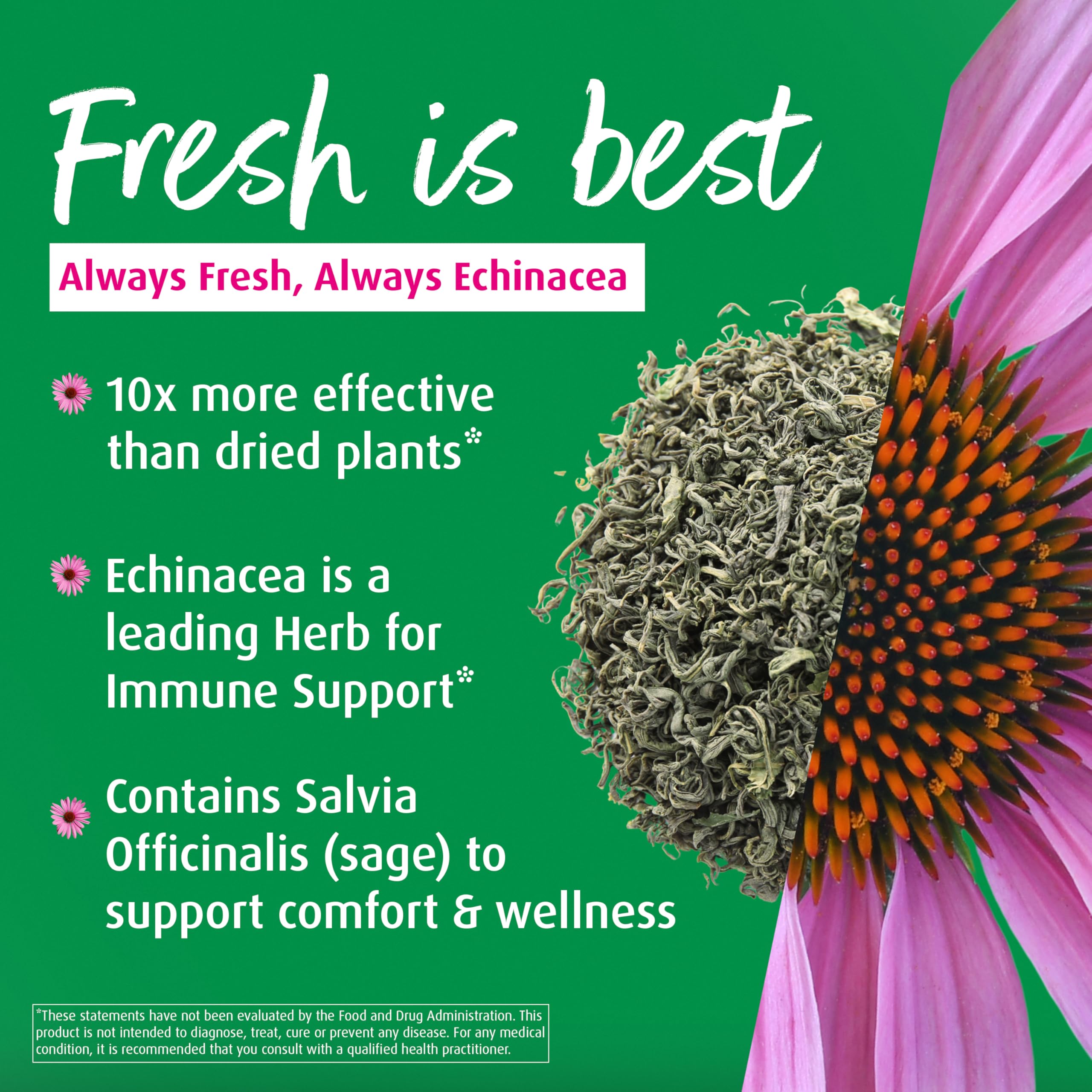 Fresh organic Echinacea purpurea and sage ingredients