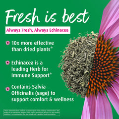 Fresh organic Echinacea purpurea and sage ingredients