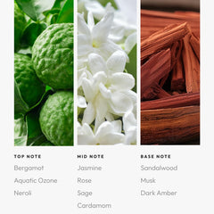 Luxurious Aroma360 diffuser oil displayed with decor