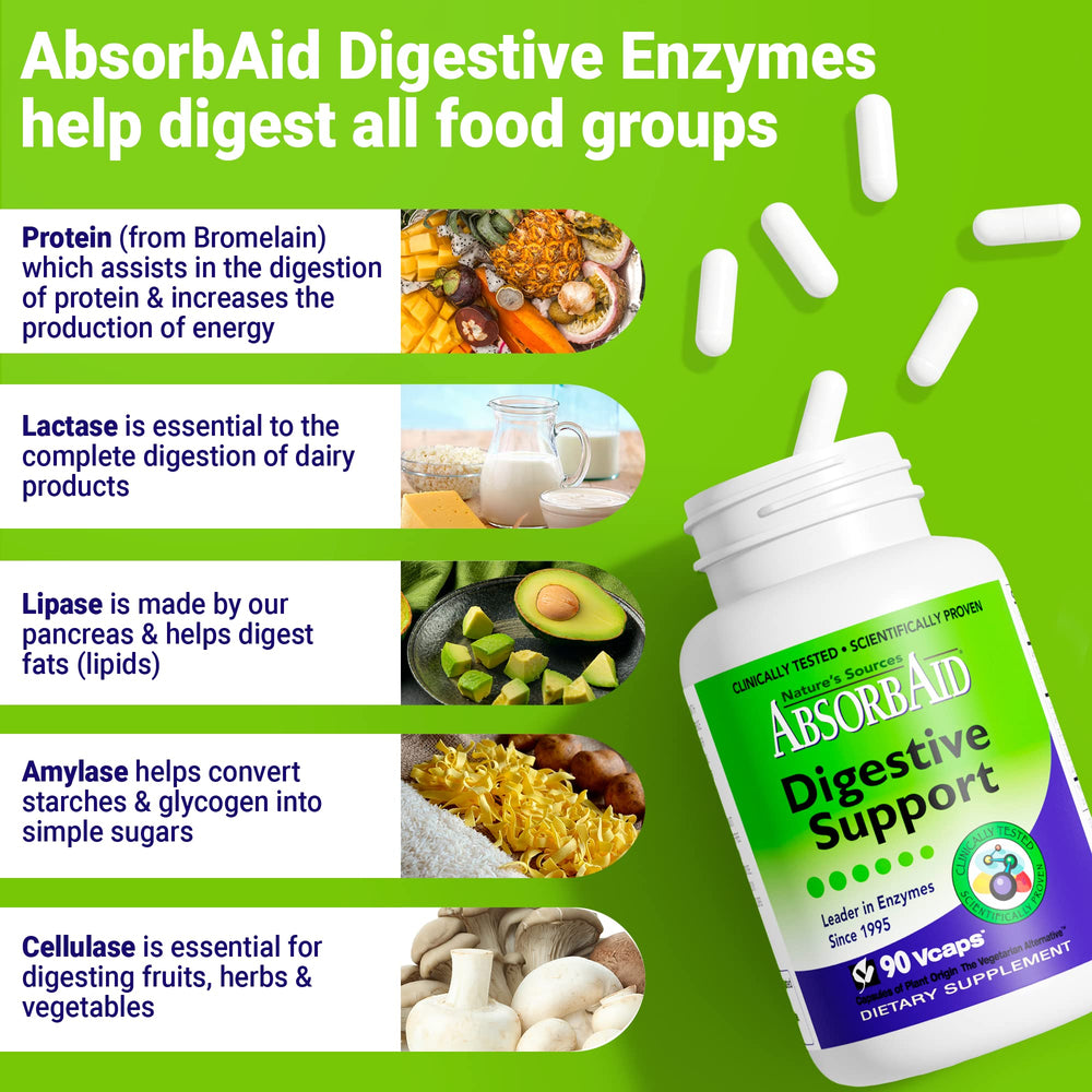 Flat lay of Nature's Sources AbsorbAid digestive support product