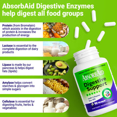 Flat lay of Nature's Sources AbsorbAid digestive support product