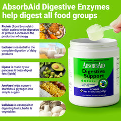 Illustration showing digestion process with AbsorbAid