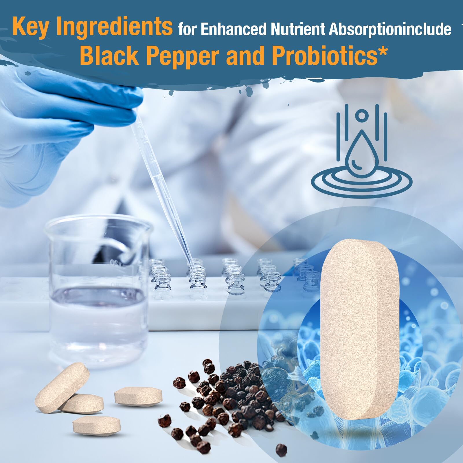 Black pepper extract to aid nutrient absorption